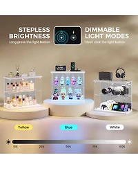 Vlsrka Led Lighted 2-Tier Glass Display Case with Charging Station and Motion Sensor, Desktop Storage Organizer for Figures, Models Perfume