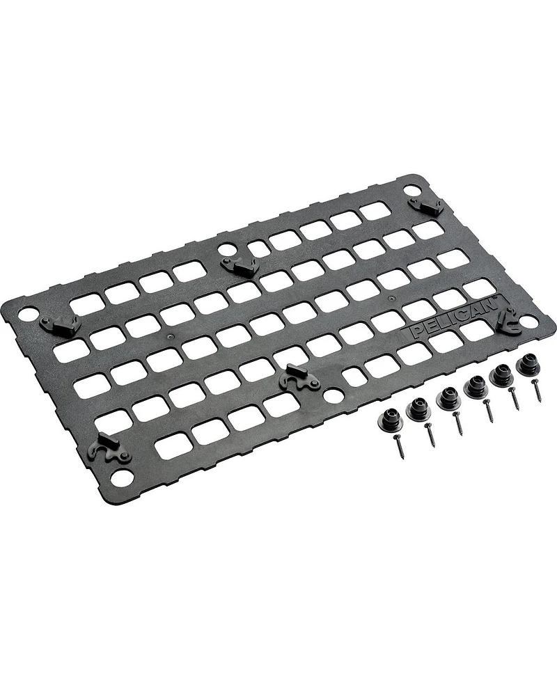 Pelican 1510TP Carry-On Case with TrekPak Divider System, with Pelican molle panel lid organize