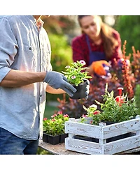 Pro Cal 10 Gallon Premium Nursery Black Plastic Planter Garden Grow Pots, 5 Pack