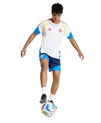 adidas Men's Colombia Tiro Training Shorts