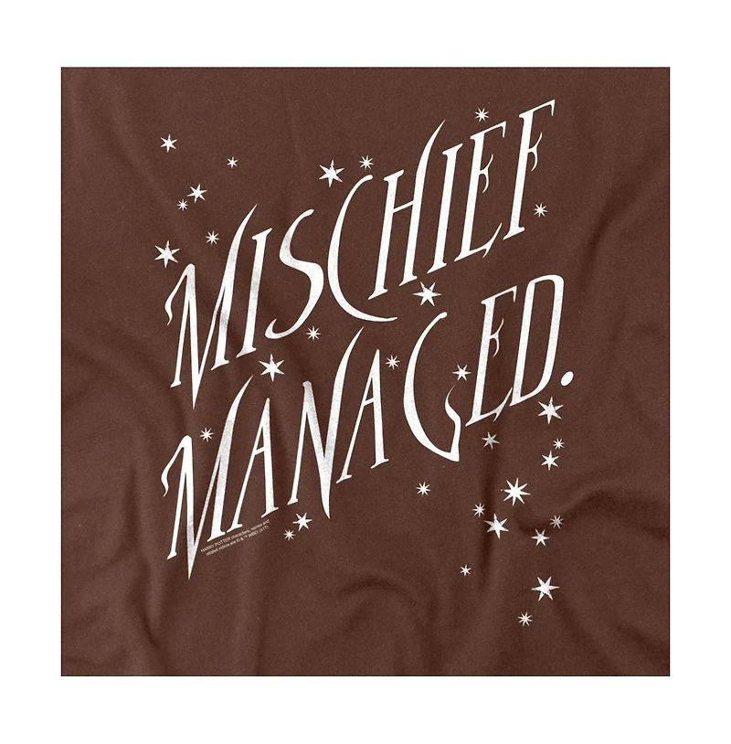 Harry Potter Men's Mischief Managed 4 T-Shirt