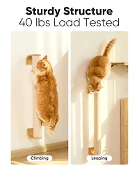 Aronkl Cat Wall Scratcher 60" Tall Mounted Kitten Sturdy Sisal Climbing Tree For Indoor Large Cats