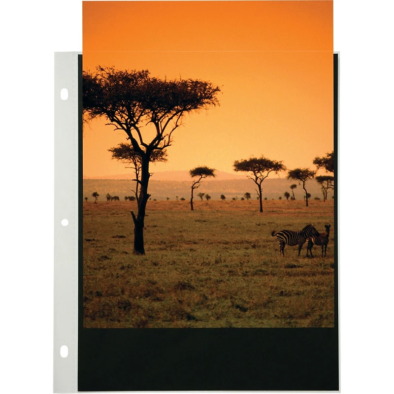 Itoya Art Profolio 11x17" Crystal Clear PolyGlass Pages, Portrait, 10 Pages Per Pack