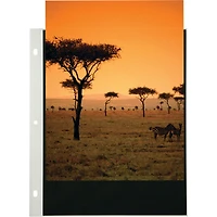 Itoya Art Profolio 11x17" Crystal Clear PolyGlass Pages, Portrait, 10 Pages Per Pack