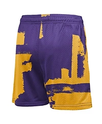 Nike Big Boys and Girls Purple Los Angeles Lakers Courtside Pro Shot Dri-fit Mesh Practice Shorts