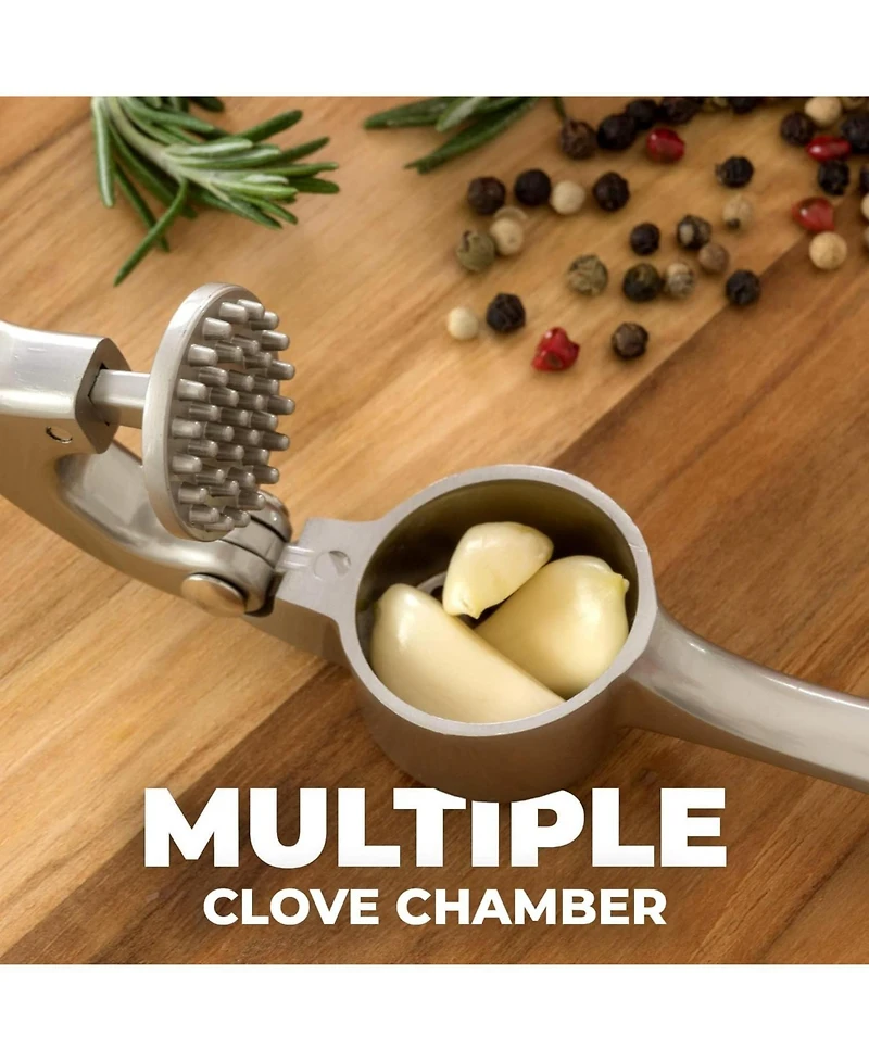 Premium Garlic Press Set - Rust Proof & Dishwasher Safe Professional Garlic Mincer Tool