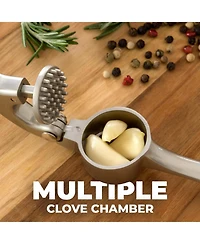 Premium Garlic Press Set - Rust Proof & Dishwasher Safe Professional Garlic Mincer Tool