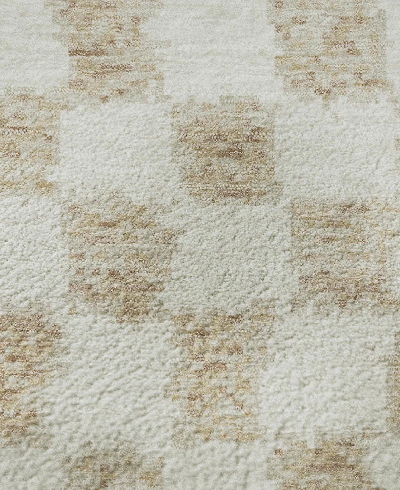 Addison Mayfield AMF1958 1'8"x2'6" Area Rug