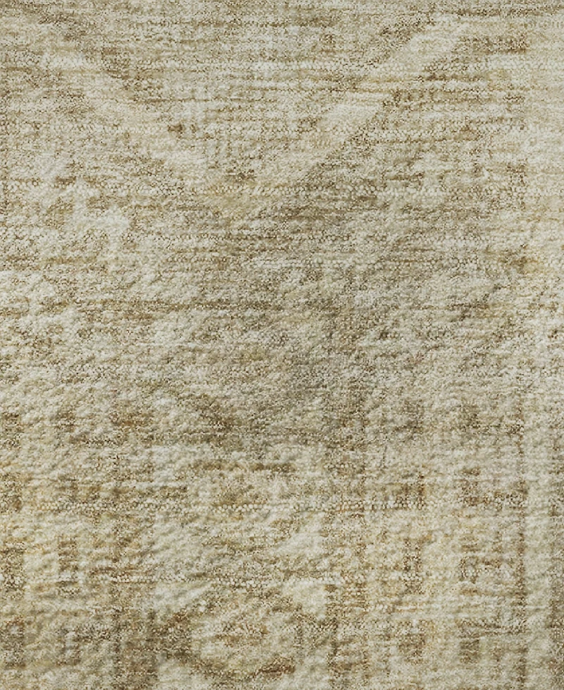 Addison Mayfield AMF1920 8'x10' Area Rug