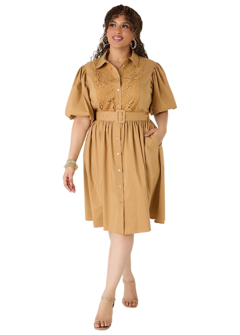 Ashley Stewart Women's Crochet Panel A Line Shirtdress
