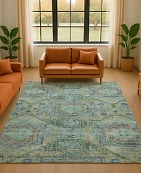 Addison Mayfield AMF1929 3'x5' Area Rug