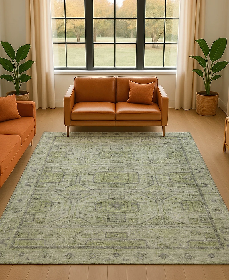 Addison Mayfield AMF1919 5'x7'6" Area Rug