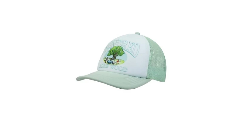 Winnie the Pooh Men's Disney Hundred Acre Wood White & Blue Trucker Hat