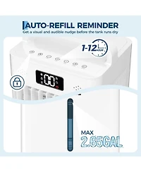 Xo 10L Evaporative Air Cooler, 3 Wind Speeds, 12H Timer, Remote Control, Portable Cooling Fan for Large Rooms, 120V
