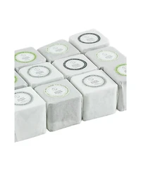 Lizush Earthy Shower Steamer Gift Set, 5 Refreshing Shower Steamers for Men and Women