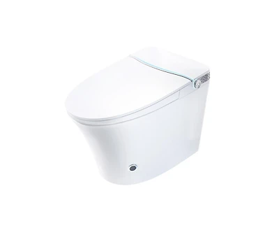 Casainc Ada Comfort Height Smart Bathroom Fixture with Built-In Tank, Heated Seat, Auto Open Lid and Warm Air Dryer