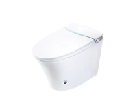Casainc Ada Comfort Height Smart Bathroom Fixture with Built-In Tank, Heated Seat, Auto Open Lid and Warm Air Dryer