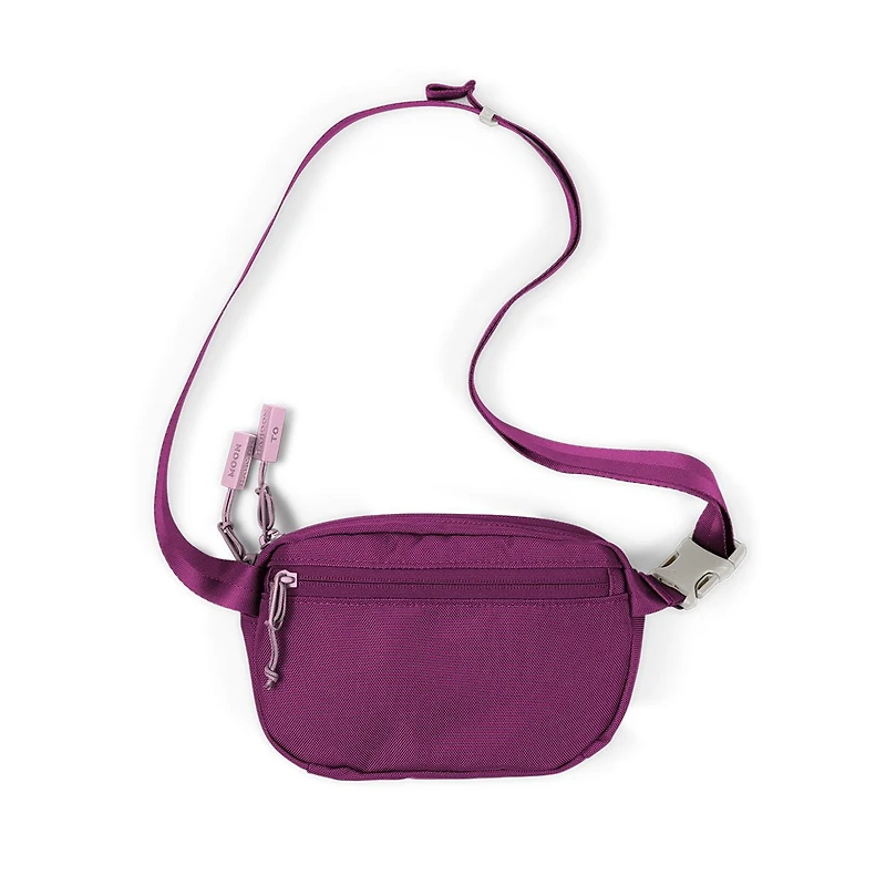 Baboon to the Moon Fann pack Mini 1.5L