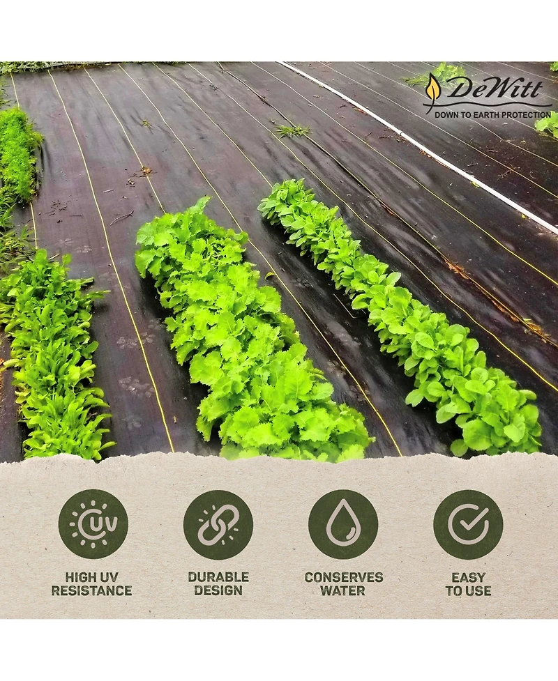 DeWitt Company P6 Pro 5 5oz 6' x 250' Commercial Landscape Weed Barrier Ground Fabric