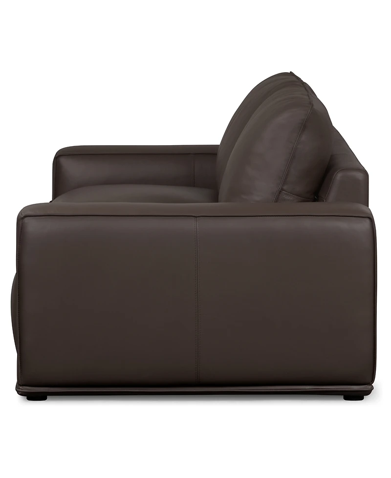 Paitlyn 2-Piece Leather Sofa