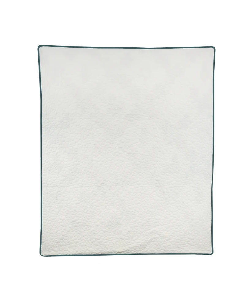 Donna Sharp Cacti Reversible Throw, 50" x 60"