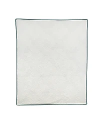 Donna Sharp Cacti Reversible Throw, 50" x 60"