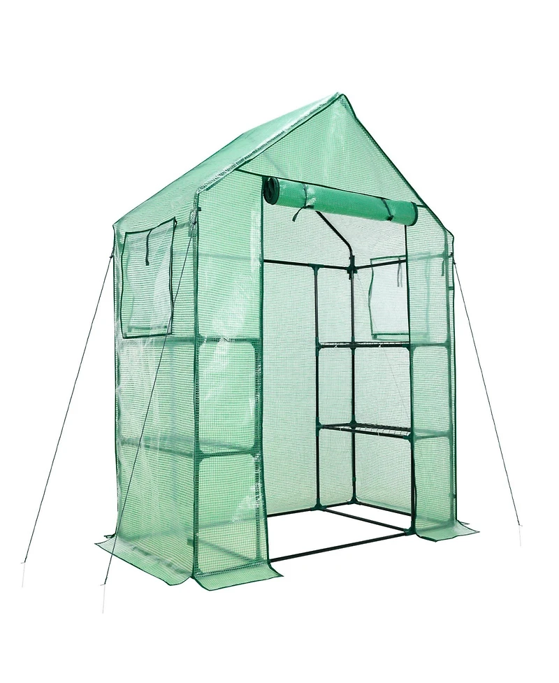 Aoodor Walk-in Greenhouse with 4 Shelves, Outdoor Garden Plant House with Pe Cover for Growing Vegetables, Flowers