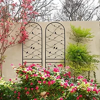 Clihome Metal Garden Trellis 86.7" x 19.7" Rustproof Trellis for Climbing Plants Outdoor Flower Support
