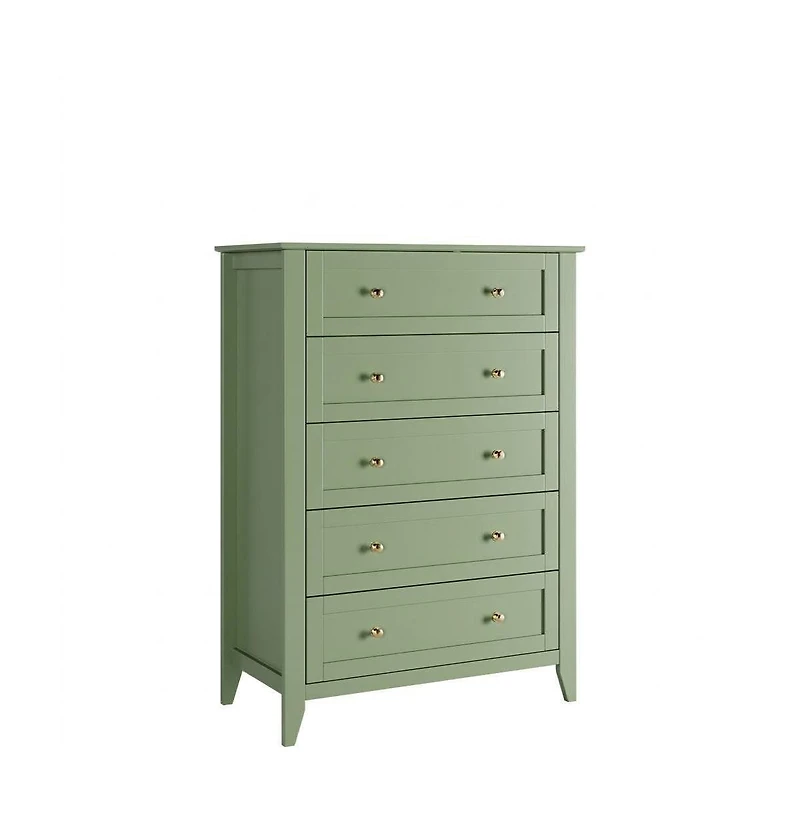gaomon 5 Drawer Dresser for Bedroom, Dresser with Deep Drawers and Metal Knobs, Tall Modern Wooden Chests of Drawers for Entryway, Hallway