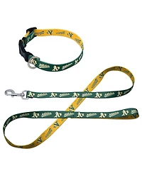 Wincraft Athletics Pet Leash and Collar Set