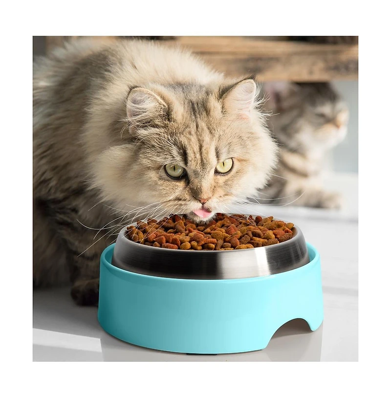 CatGuru Food Table for Cat Bowl, Marshmallow