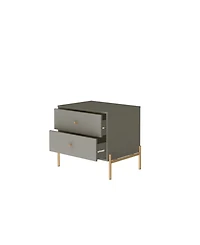 Manhattan Comfort Jasper 2-Piece 25" 2-Drawer Nightstands