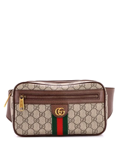 Pre-Owned Gucci Medium Ophidia Belt Bag Gg Coated Canvas
