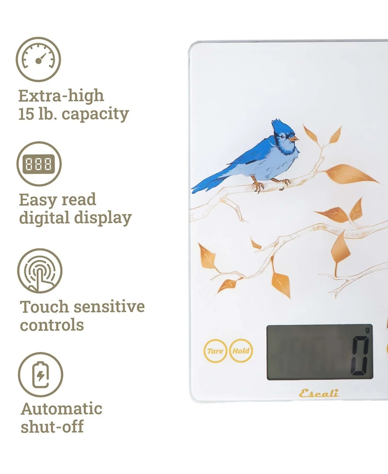 Escali Arti Blue Jay Glass 9" Digital Food Scale