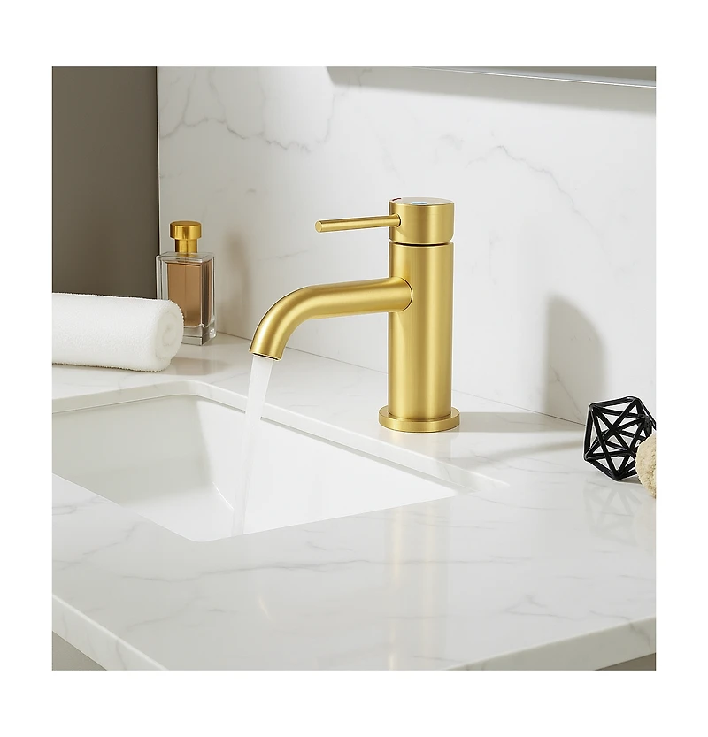 Phying Single Handle Bathroom Faucet Lavatory Faucet Stainless Steel Single Hole-T10