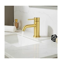 Phying Single Handle Bathroom Faucet Lavatory Faucet Stainless Steel Single Hole-T10