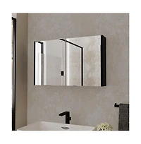 Busdays Medicine Cabinet Mansfield Wall Mount Bathroom Storage with Mirror