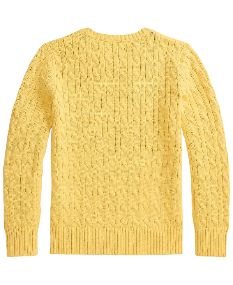 Polo Ralph Lauren Boys' 8-20 Long-Sleeve Sweater