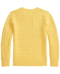Polo Ralph Lauren Boys' 8-20 Long-Sleeve Sweater
