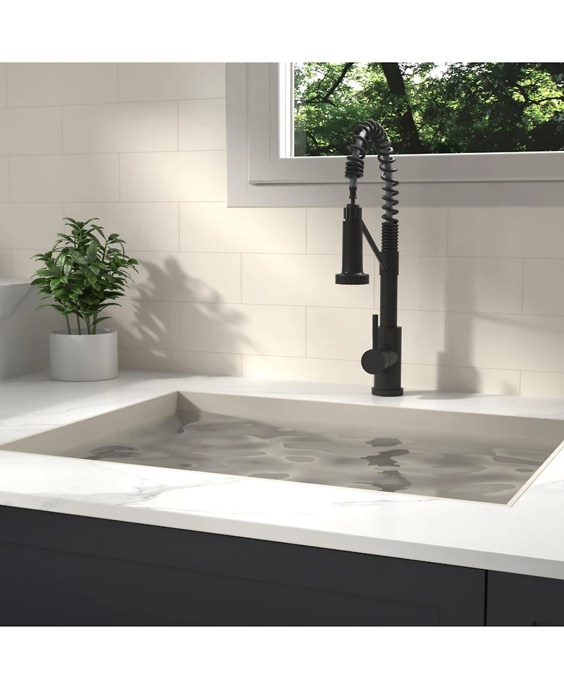Phying Bothwa Home Cupc Certified 19" Single Handle Kitchen Faucet