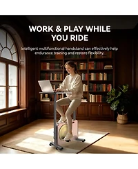 Harison Muti-functional Exercise Bike with Desktop for Home and office Hrm-B15G)