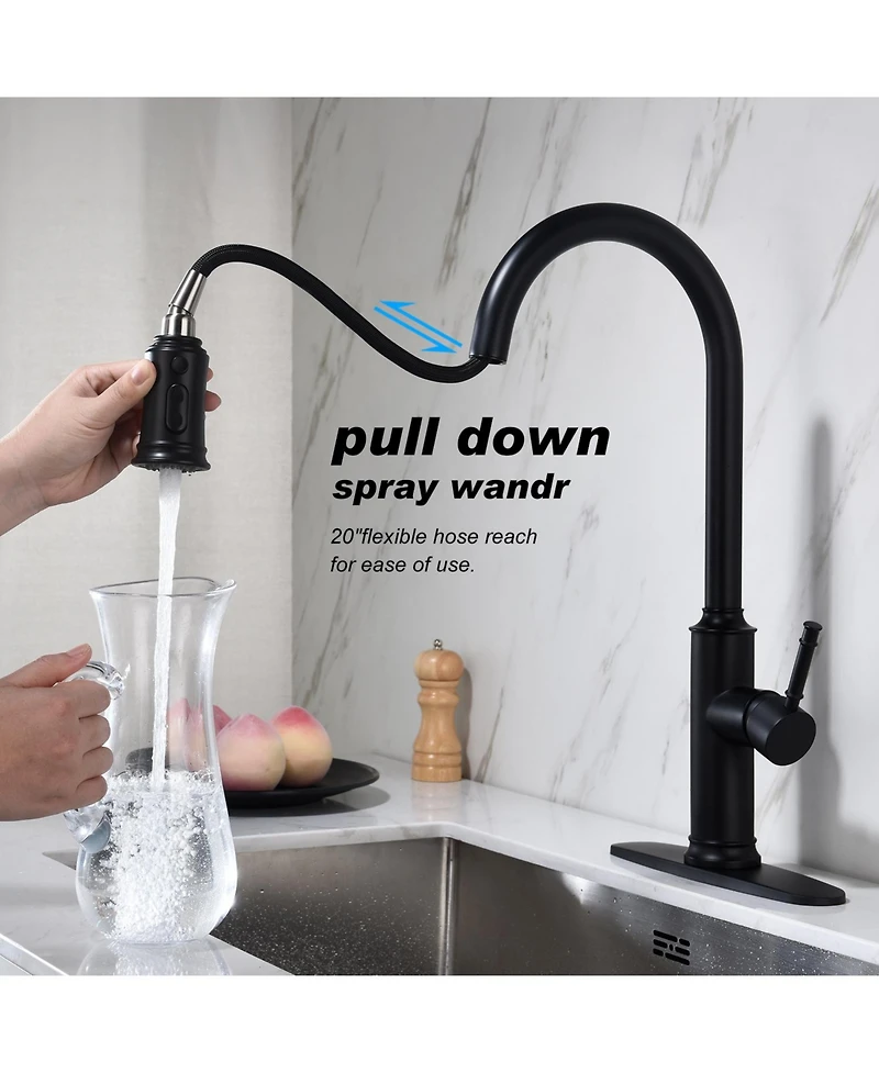 Phying Kitchen Faucet with Pull Out Spraye