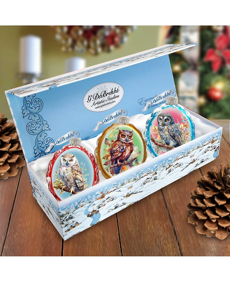 Designocracy Wise Owls Keepsake Mercury Christmas Glass Ornaments Set of 3 G. DeBrekht