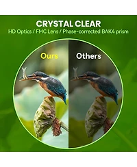 Neewer 10x42 Waterproof Binoculars with Ed Glass and Phone Adapter