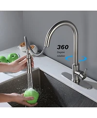 Phying Touch Kitchen Faucet with Pull Down Sprayer
