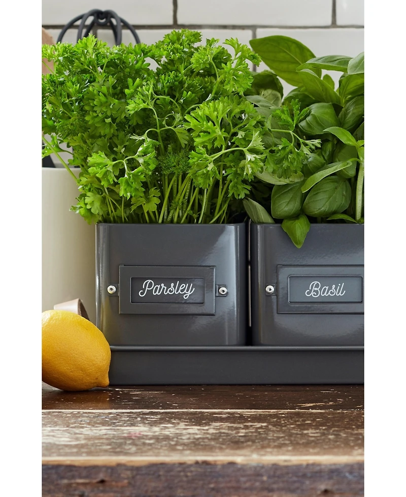 Burgon & Ball 3 Herb Pots with Leather Handled Tray