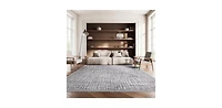 Safavieh Adirondack ADR103 9' x 12' Area Rug