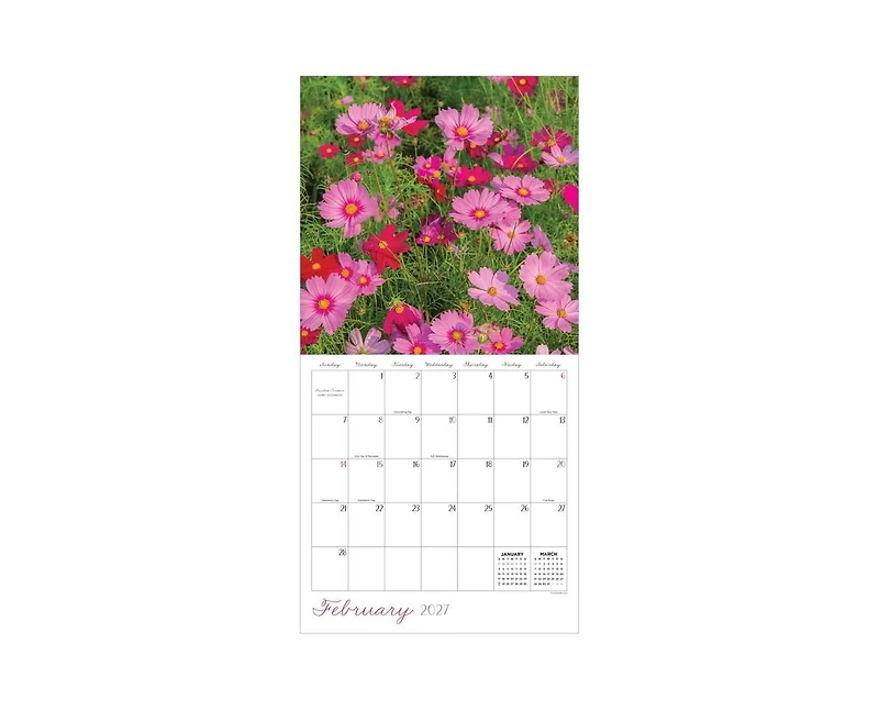Tf Publishing Paper Goods 2027 Flowers Wall Calendar