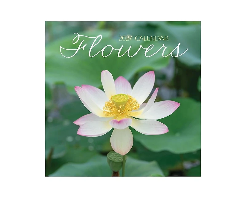 Tf Publishing Paper Goods 2027 Flowers Mini Calendar