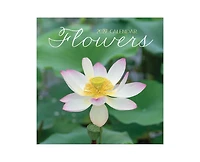 Tf Publishing Paper Goods 2027 Flowers Mini Calendar